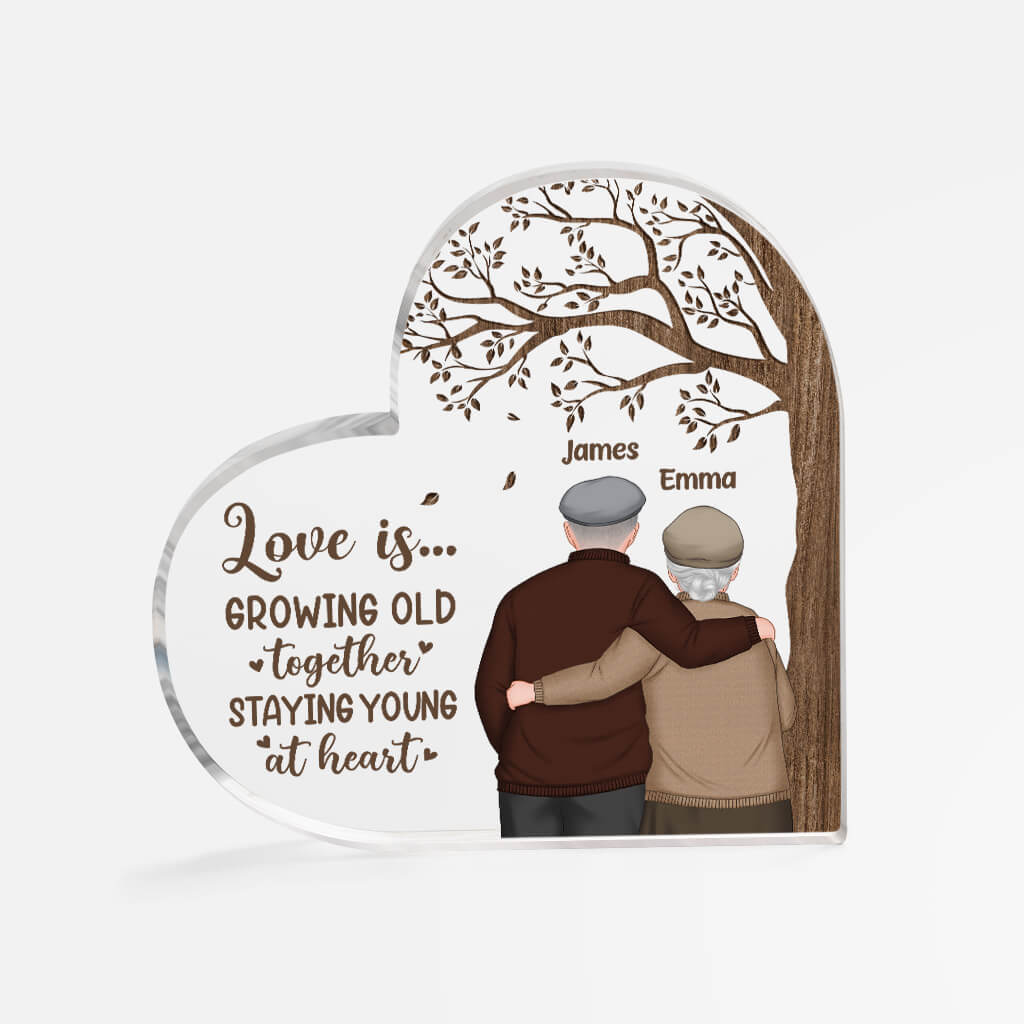Personalized Couple Acrylic Ornament, Customized Love Is Growing Old Acrylic Ornament, Best Ornament For Couple