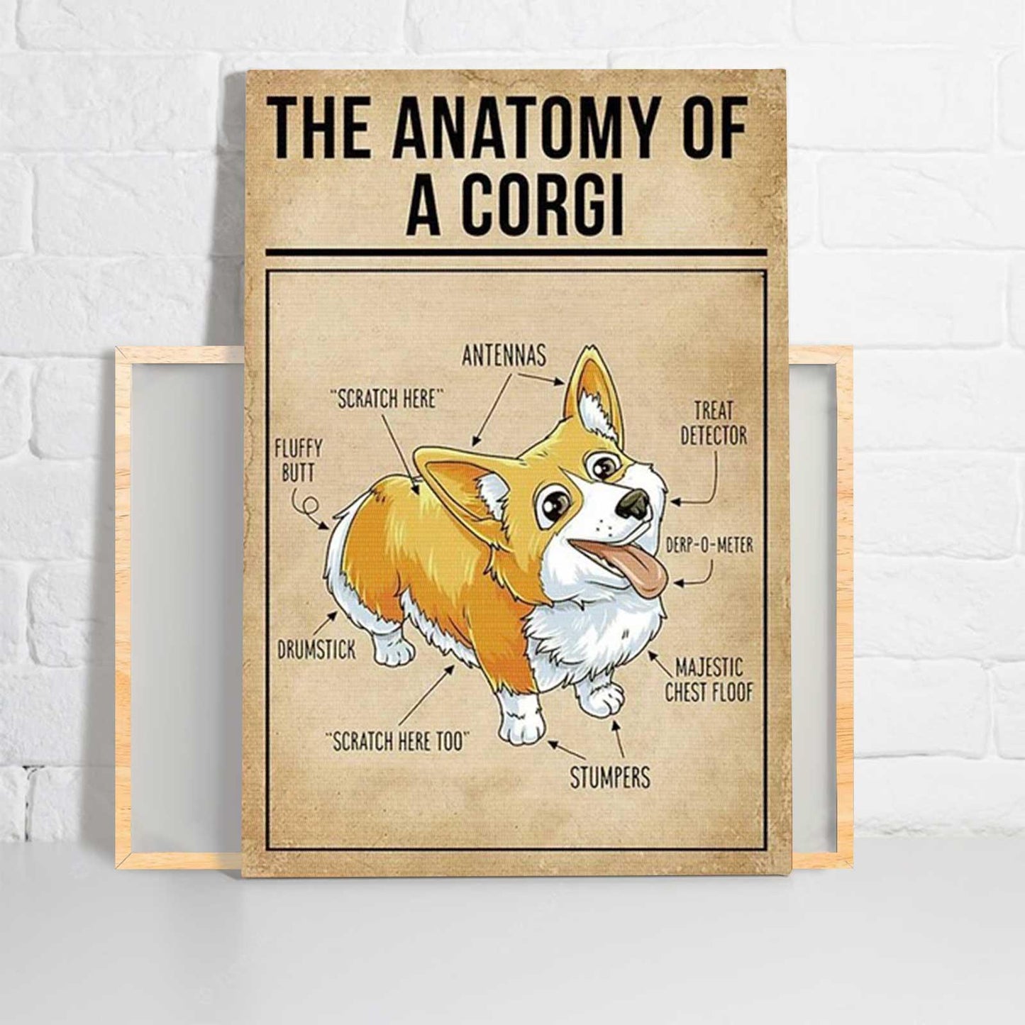 Corgi Dog Portrait Canvas - The Anatomy Of A Corgi Portrait Canvas- Gift For Dog Lovers, Dog Owner, Friends, Family - Amzanimalsgift