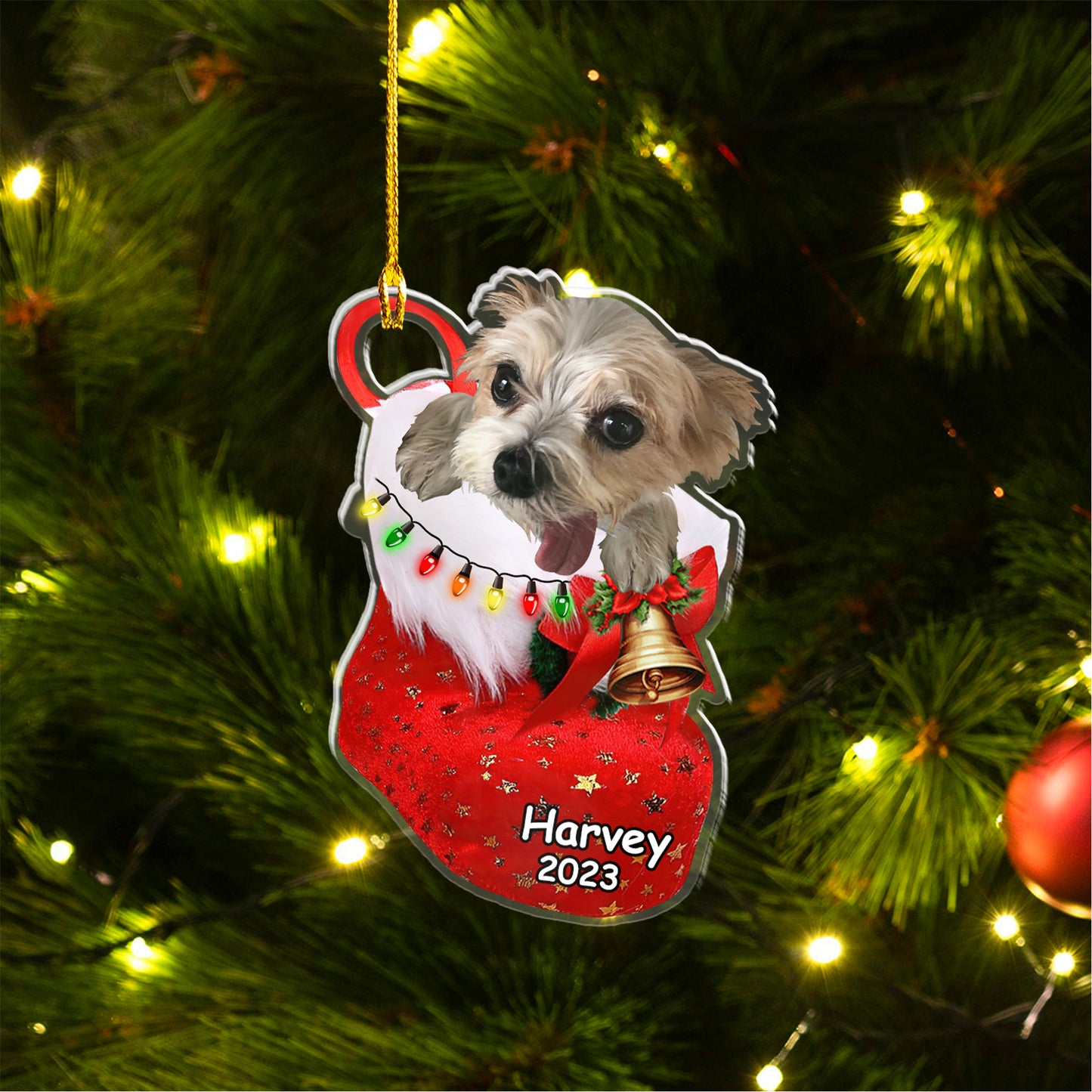 Custom Dog Photo Christmas Car Ornament, Personalized Biewer Terrier in Christmas Sock Car Ornament for Dog Lover, New Year