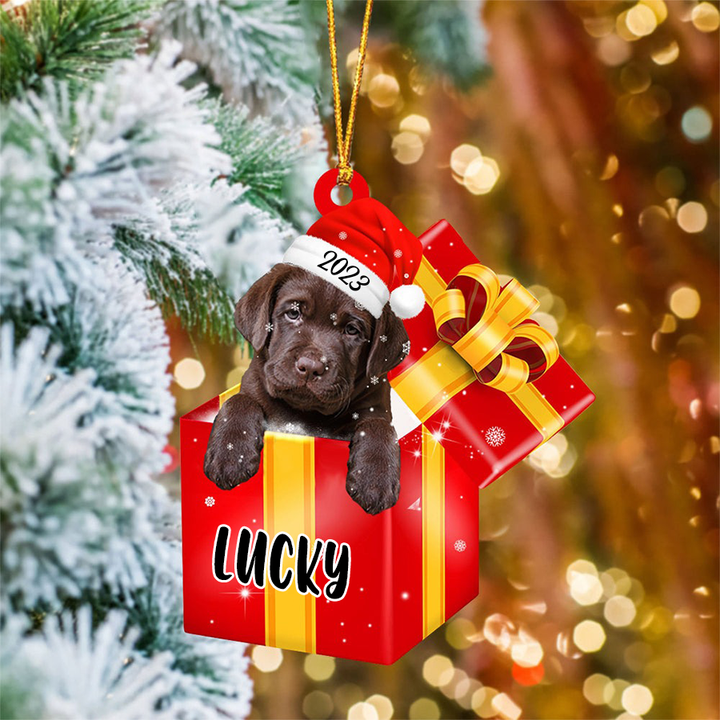 Customized Name Labrador Retriever In Red Gift Box Acrylic Christmas Ornament Personalized Pet Christmas Ornament - Gift For Dog Lovers, Pet Lovers