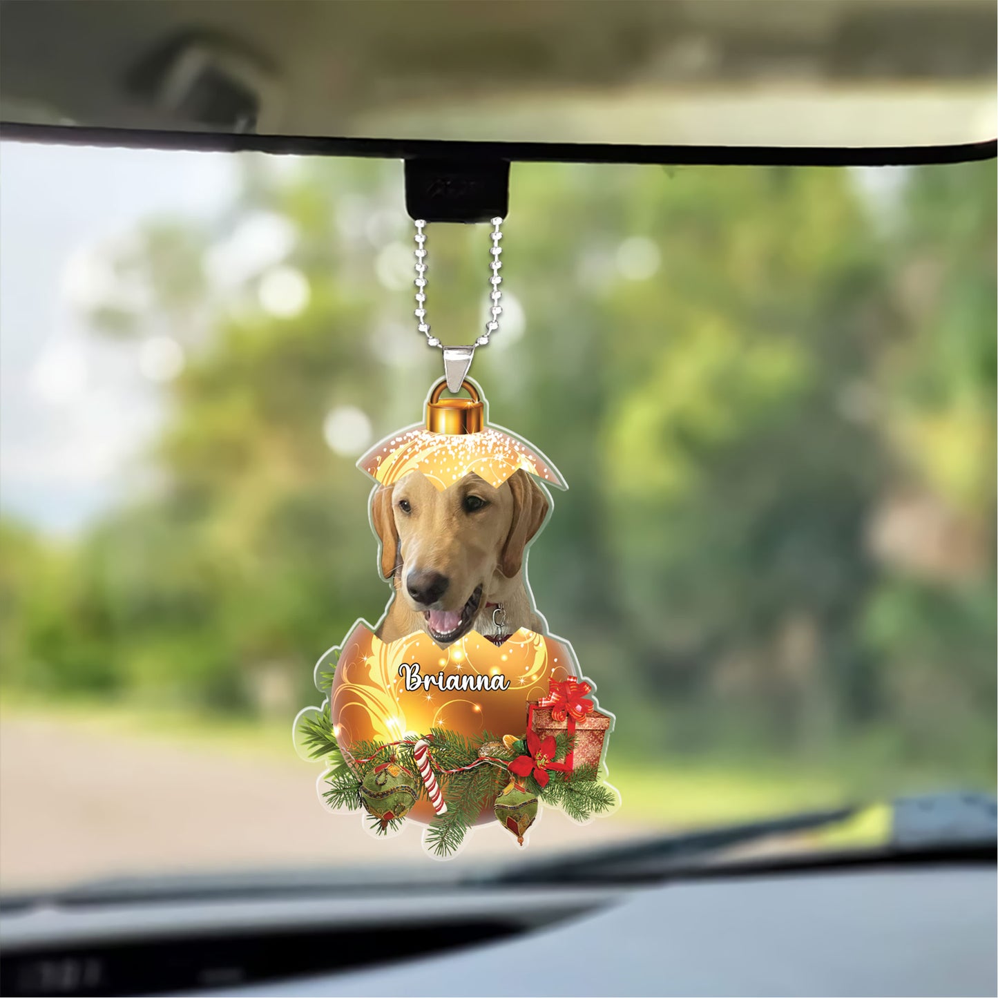 Personalized Gift For Pet Lovers, Custom Image Pet In Egg Acrylic Ornament For Pet Lovers