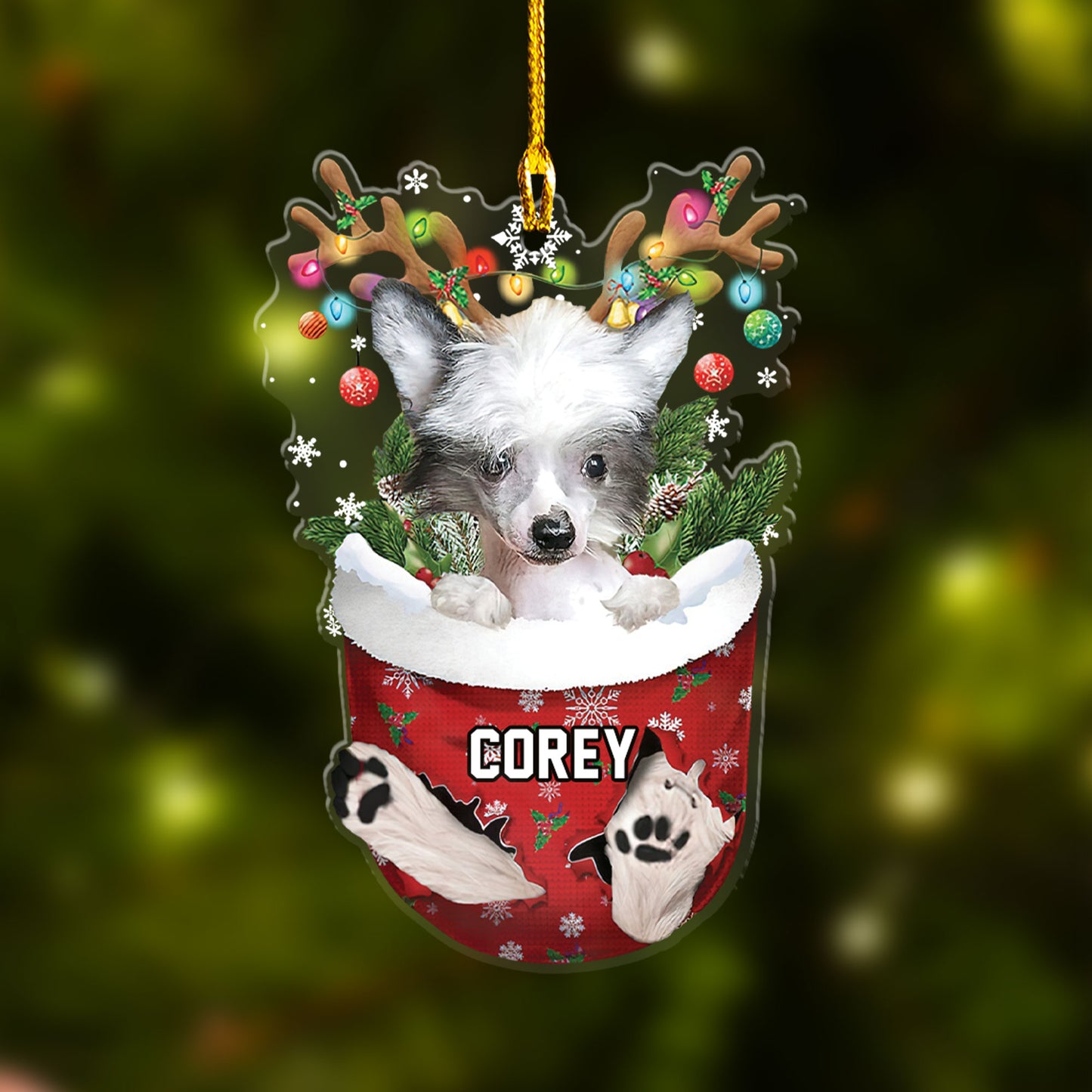 Chinese Crested Dog In Snow Pocket Christmas Car Ornament - Christmas Gift For Chinese Crested Dog Lovers, Dog Lovers