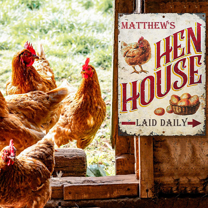 Personalized Chicken Hen House Laid Daily Metal Signs - Chicken Farm Metal Signs Decoration, Chicken Signs