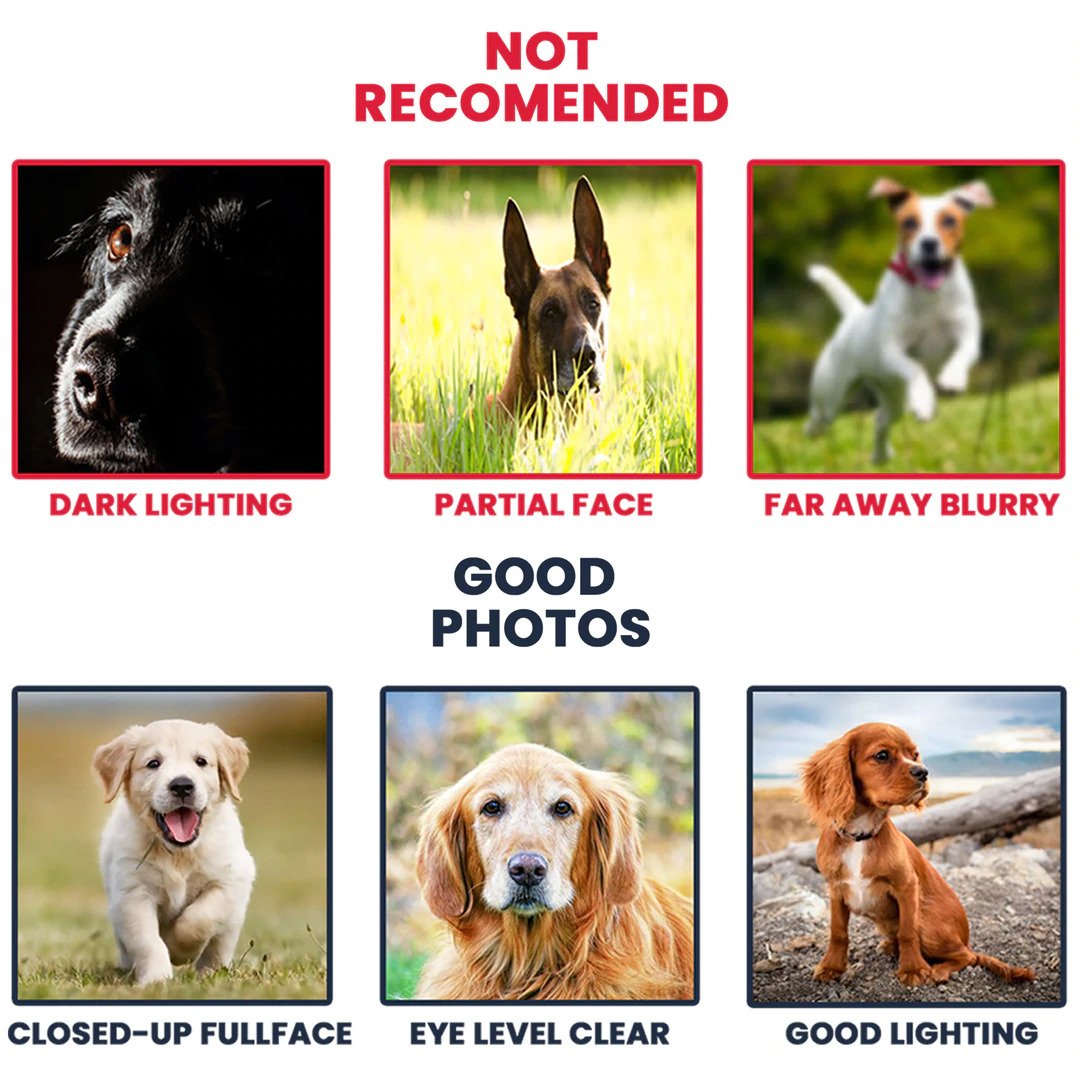 Personalized Dog Landscape Canvas, I Will Be Your Smile Canvas, Custom Your Pet Photo, Perfect Gift For Dog Lovers, Friend, Family