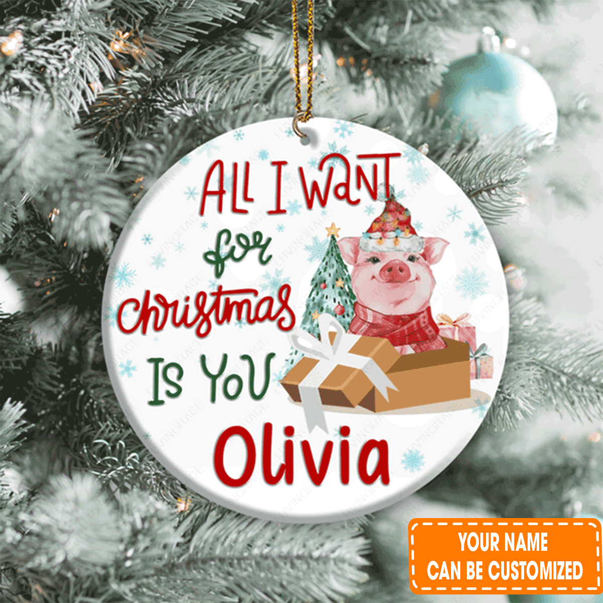 Custom Jesus Acrylic Ornament, Personalized Little Baby Pig In Gift Box Acrylic Ornament For Christian, Holiday Decor