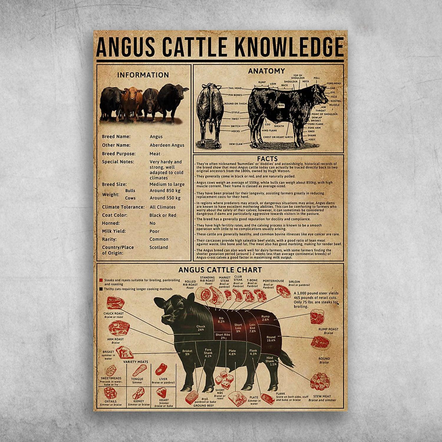 Aberdeen Angus Portrait Canvas - Angus Cattle Knowledge - Great Gift For The Farmers, Aberdeen Angus Lovers, Aberdeen Angus Owners, Farm Lovers - Amzanimalsgift