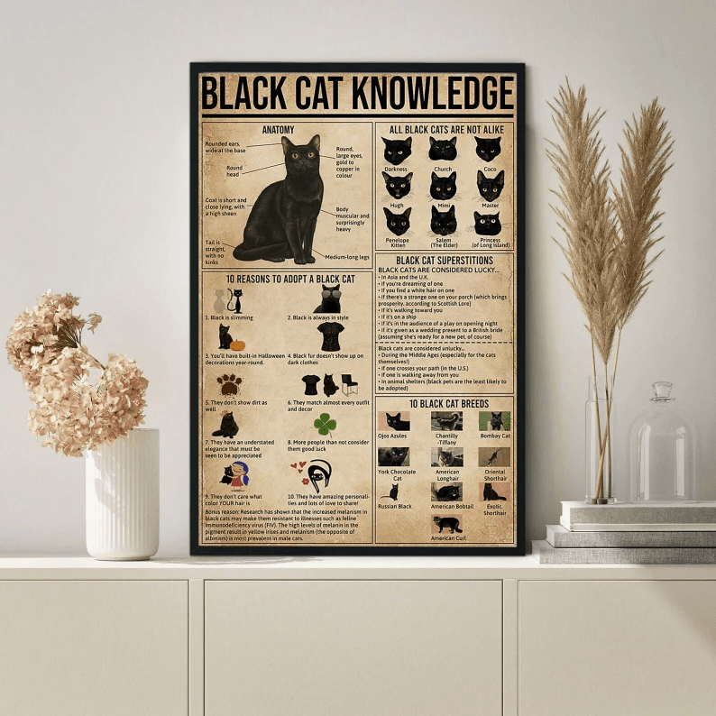Black Cat Portrait Canvas - Black Cat Knowledge, Cute Black Cat - Perfect Gift For Black Cat Lovers, Black Cat Owners, Cat Lovers - Amzanimalsgift