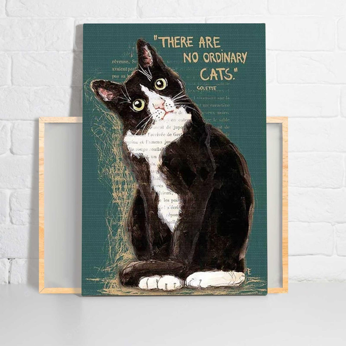 Black Cat Portrait Canvas - Black Cat There Are No Ordinary Cats - Perfect Gift For Black Cat Lovers, Black Cat Owners, Cat Lovers - Amzanimalsgift