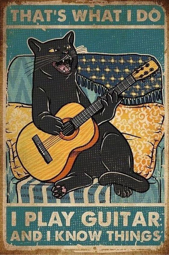 Cat Portrait Canvas - That's What I Do I Play Guitar And I Know Things Canvas - Perfect Gift For Cat Lover, Friend, Family - Amzanimalsgift