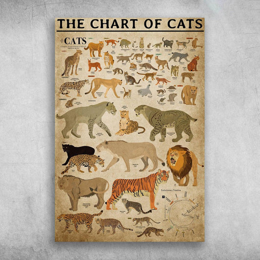 Cat Portrait Canvas - The Chart Of Cats All Species Of Big Cats Listed Canvas - Perfect Gift For Cat Lover, Friend, Family - Amzanimalsgift