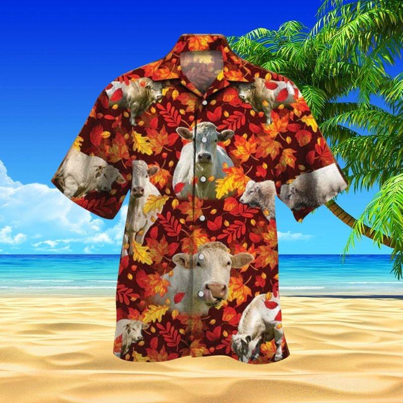 Charolais Cattle Aloha Hawaiian Shirt - Funny Charolais Cattle Hawaiian Shirt, Autumn Red Leaves Hawaiian Shirt For Men & Women, Charolais Cattle Lover - Amzanimalsgift