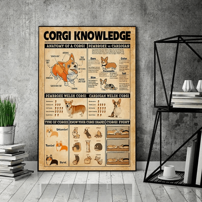 Corgi Portrait Canvas - Corgi knowledge, Anatomy Of A Corgi, Pembroke & Cardigan, Type Of Corgis Canvas - Perfect Gift For Corgi Lover, Friend, Family - Amzanimalsgift