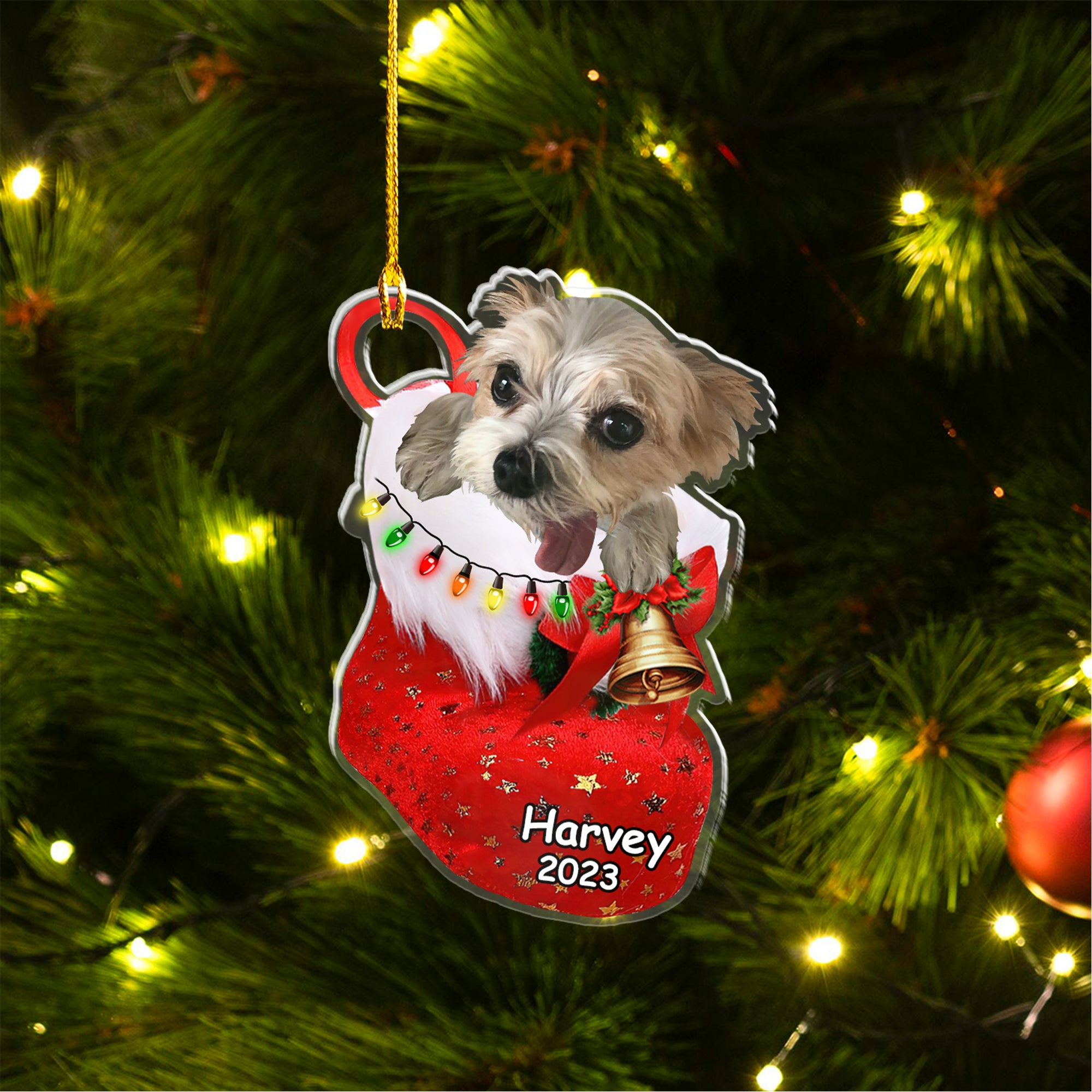 Custom Dog Photo Acrylic Christmas Ornament, Personalized Biewer Terrier in Christmas Sock Ornament for Dog Lover, New Year