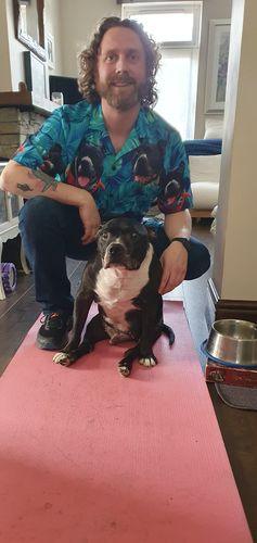 Customized Hawaiian Shirt With Pet Face - Turquoise And Blue Tropical Leaves Pattern Aloha Shirt, Pet Face Shirt - Personalized Gift For Pet Lovers - Amzanimalsgift