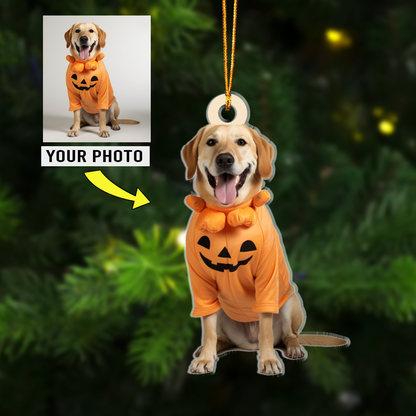 Christmas Ornaments For Dog Lovers With Customized Photo Custom Shape Acrylic Ornaments, Meaningful Christmas New Year Gifts