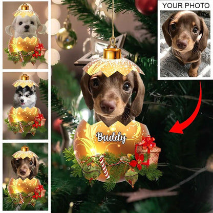 Personalized Gift For Pet Lovers, Custom Image Pet In Egg Acrylic Ornament For Pet Lovers