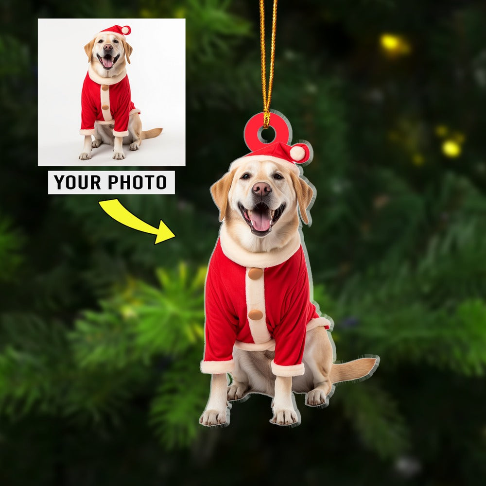 Custom Dog Photo Acrylic Christmas Ornament, Dog Photo Ornament, Meaningful Christmas Gift For Dog Lover