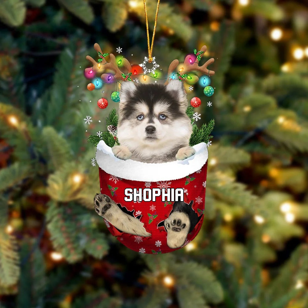 Pomsky In Snow Pocket Christmas Acrylic Ornament - Christmas Gift For Pomsky Lovers, Dog Lovers