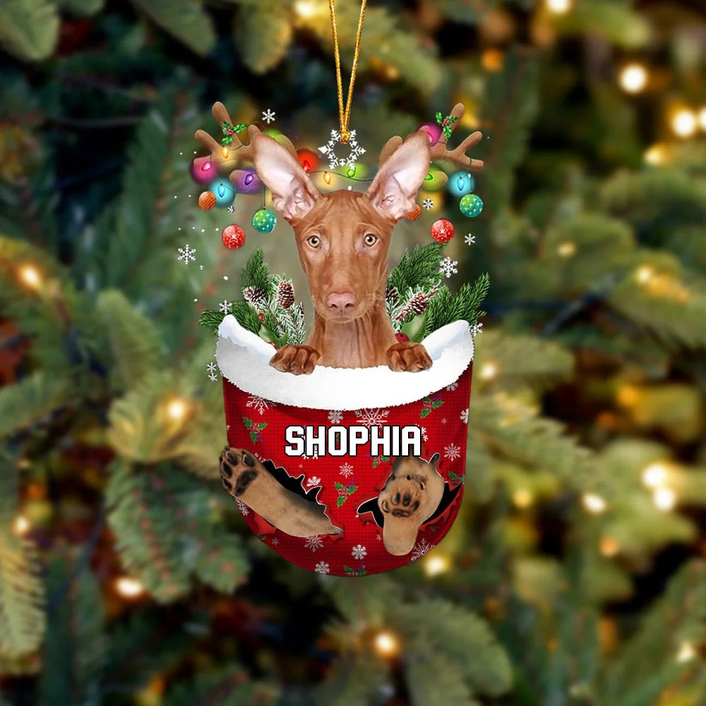 Pharaoh Hound In Snow Pocket Christmas Acrylic Ornament - Christmas Gift For Pharaoh Hound Lovers, Dog Lovers