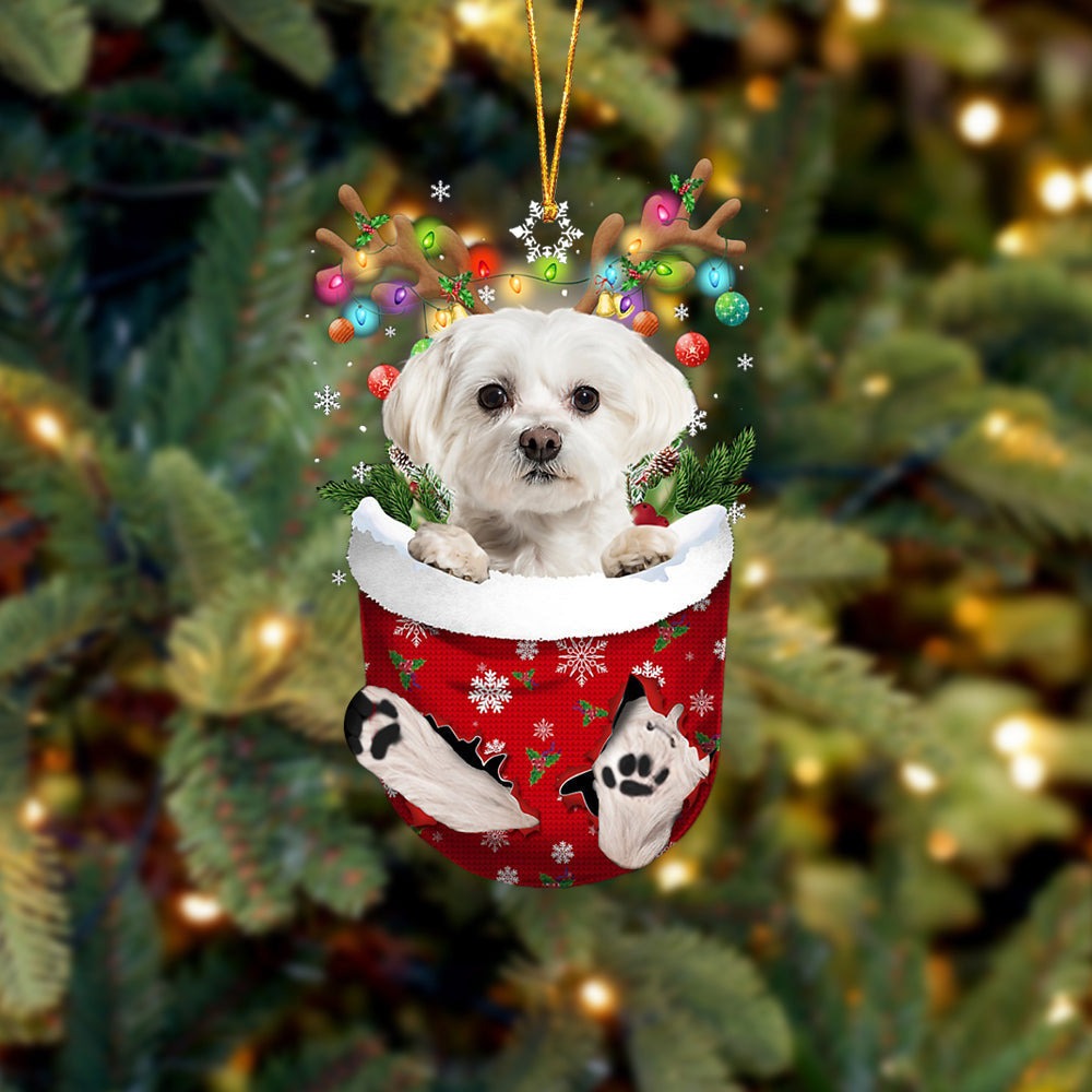White Maltese In Snow Pocket Christmas Acrylic Ornament - Christmas Gift For White Maltese Lovers, Dog Lovers