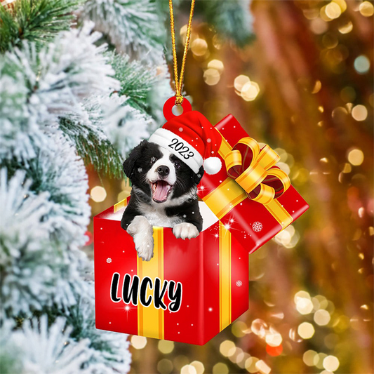 Custom Border Collies In Red Gift Box Acrylic Christmas Ornament Personalized Pet Christmas Ornament - Gift For Dog Lovers, Pet Lovers