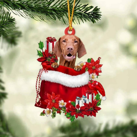 Custom Vizsla In Red Gift Bag Acrylic Christmas Ornament, Personalized Name Christmas Gift For Dog Lovers, Dog Mom
