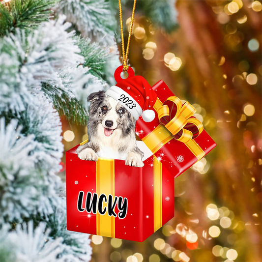 Customized Border Collie In Red Gift Box Acrylic Christmas Ornament Personalized Pet Christmas Ornament - Gift For Dog Lovers, Pet Lovers