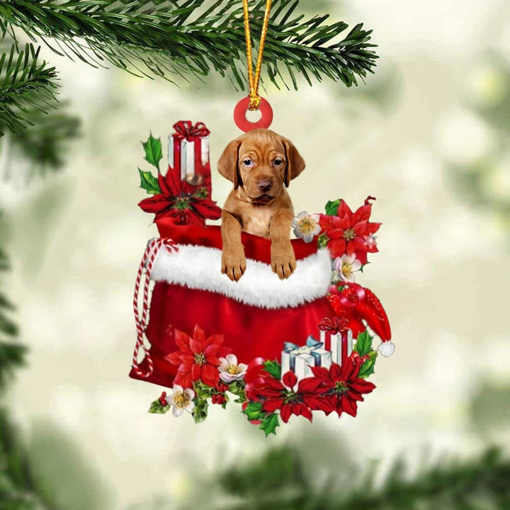 Custom Vizsla In Red Gift Bag Acrylic Christmas Ornament, Personalized Name Christmas Gift For Dog Lovers, Dog Mom