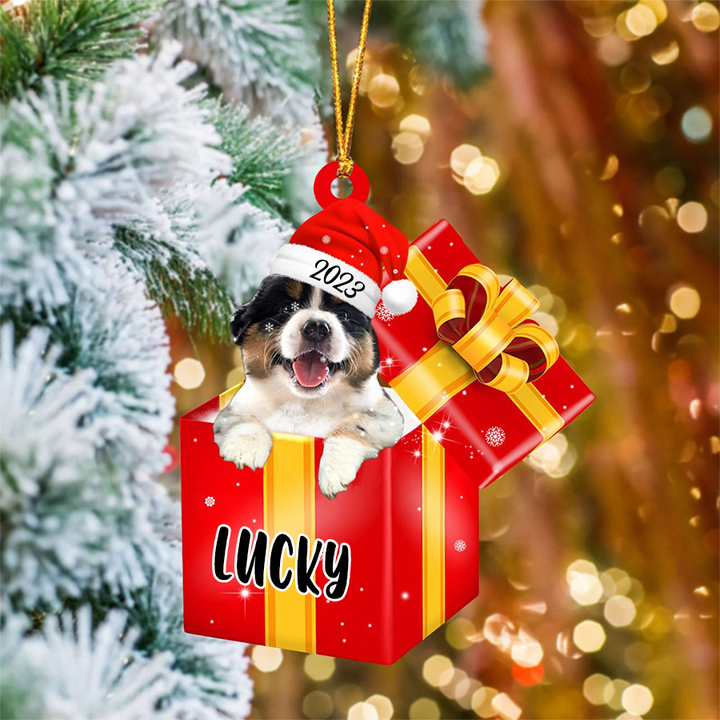Customized Australian Shepherd In Red Gift Box Acrylic Christmas Ornament Personalized Pet Christmas Ornament - Gift For Dog Lovers, Pet Lovers