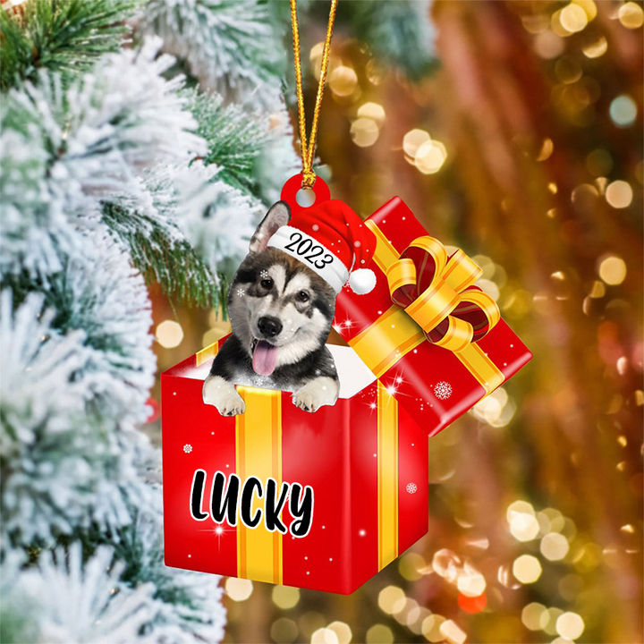 Customized Name Alaskan Malamute In Red Gift Box Acrylic Christmas Ornament Custom Pet Christmas Ornament - Gift For Dog Lovers, Pet Lovers
