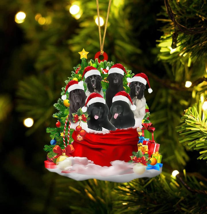 Personalized Newfoundland Dogs In Red Gift Bag Acrylic Christmas Ornament, Custom Name Christmas Gift For Dog Lovers, Dog Mom