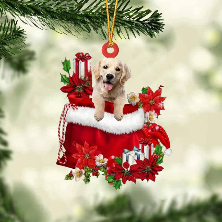 Custom Golden Retriever In Red Gift Bag Acrylic Christmas Ornament, Personalized Name Christmas Gift For Dog Lovers, Dog Mom