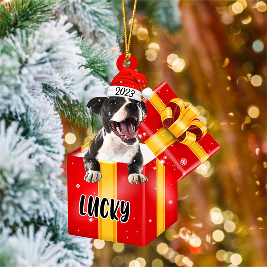 Personalized Staffordshire Bull Terrier In Red Gift Box Acrylic Christmas Ornament Custom Pet Christmas Ornament - Gift For Dog Lovers, Pet Lovers