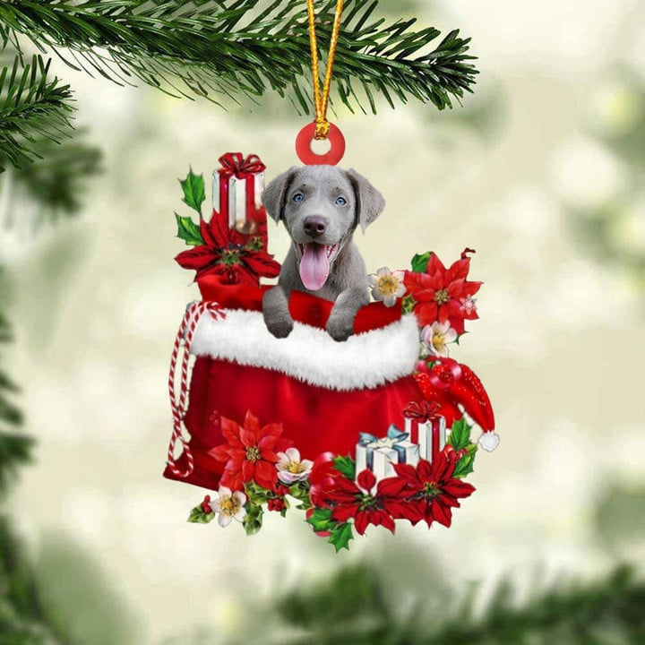 Customized Weimaraner In Red Gift Bag Acrylic Christmas Ornament, Personalized Christmas Gift For Dog Lovers, Dog Mom