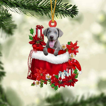 Customized Weimaraner In Red Gift Bag Acrylic Christmas Ornament, Personalized Christmas Gift For Dog Lovers, Dog Mom