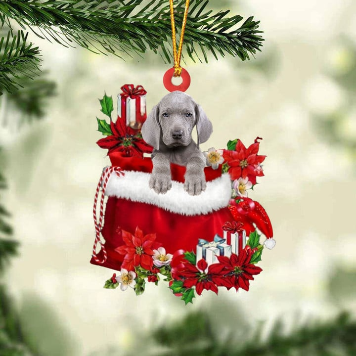 Customized Weimaraner In Red Gift Bag Acrylic Christmas Ornament, Personalized Christmas Gift For Dog Lovers, Dog Mom