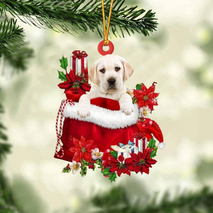 Customized Labrador Retriever In Red Gift Bag Acrylic Christmas Ornament, Personalized Christmas Gift For Dog Lovers, Dog Mom