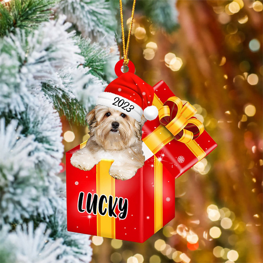 Personalized Havanese In Red Gift Box Acrylic Christmas Ornament Custom Name Pet Christmas Ornament - Gift For Dog Lovers, Pet Lovers