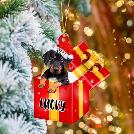 Personalized Dobermann In Red Gift Box Acrylic Christmas Ornament Customized Name Pet Christmas Ornament - Gift For Dog Lovers, Pet Lovers