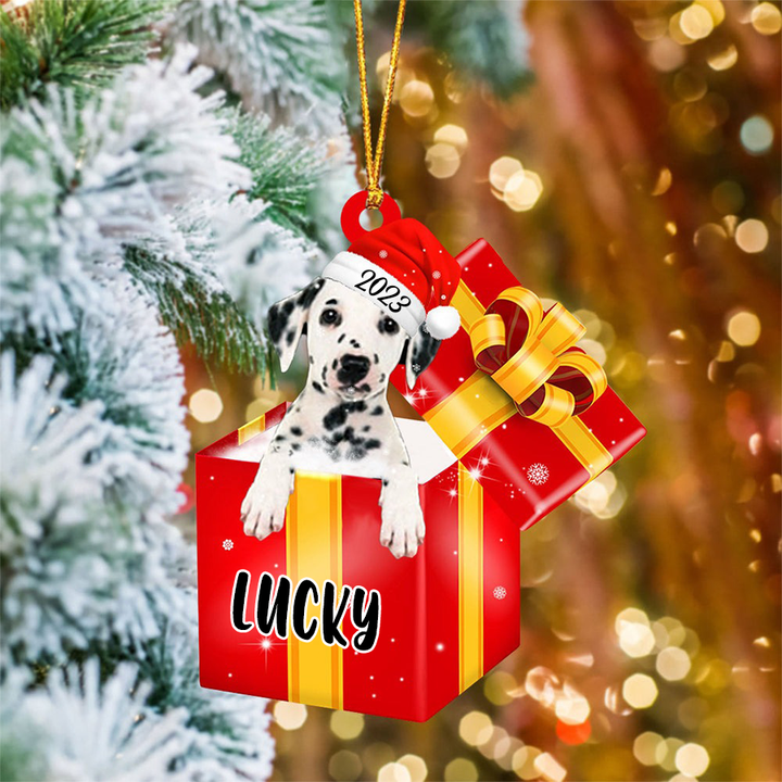 Personalized Dalmatian In Red Gift Box Acrylic Christmas Ornament Customized Name Pet Christmas Ornament - Gift For Dog Lovers, Pet Lovers