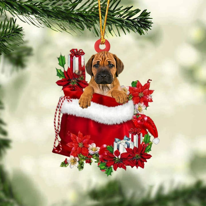 Custom Name Rhodesian Ridgeback In Red Gift Bag Acrylic Christmas Ornament, Customized Christmas Gift For Dog Lovers, Dog Mom