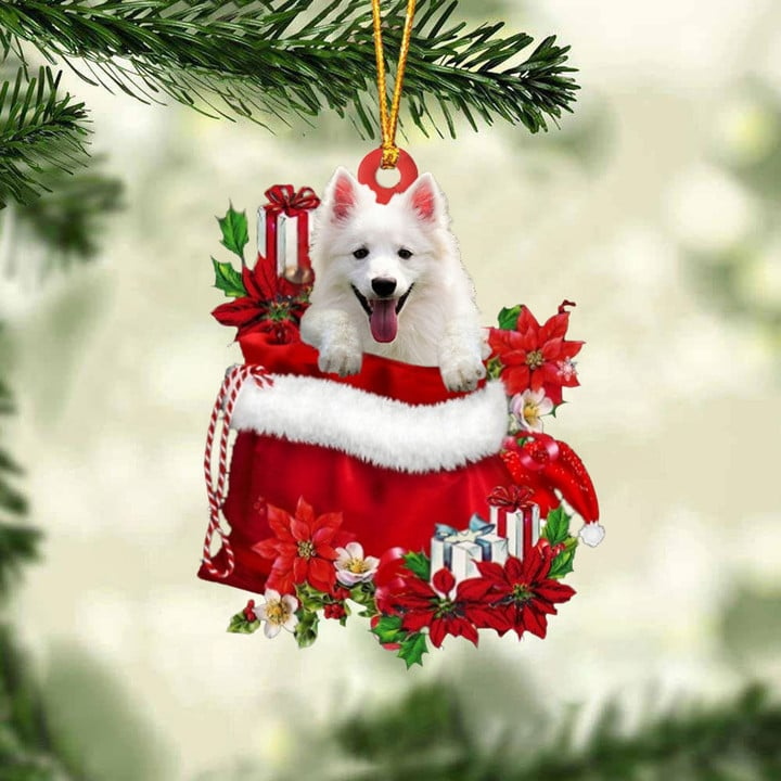 Custom Name American Eskimo In Red Gift Bag Acrylic Christmas Ornament, Customized Christmas Gift For Dog Lovers, Dog Mom