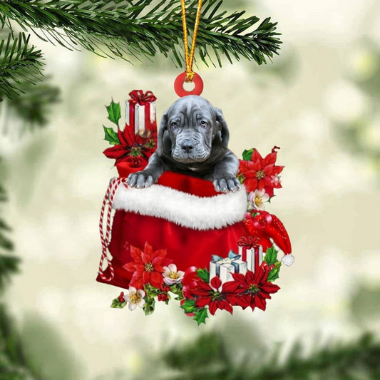 Personalized Name Neapolitan Mastiff In Red Gift Bag Acrylic Christmas Ornament, Customized Christmas Gift For Dog Lovers, Dog Mom