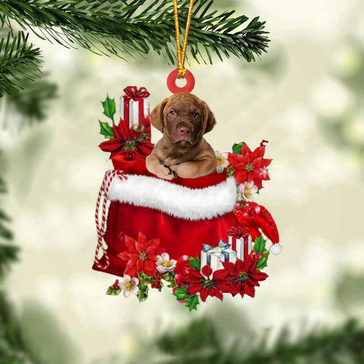 Personalized Name Chesapeake Bay Retriever In Red Gift Bag Acrylic Christmas Ornament, Customized Christmas Gift For Dog Lovers, Dog Mom