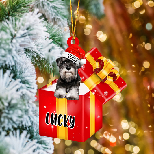 Customized Schnauzer In Red Gift Box Acrylic Christmas Ornament Personalized Pet Christmas Ornament - Gift For Dog Lovers, Pet Lovers