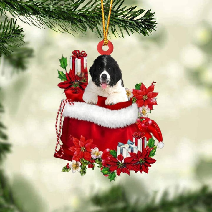 Personalized Name Newfoundland In Red Gift Bag Acrylic Christmas Ornament, Customized Christmas Gift For Dog Lovers, Dog Mom