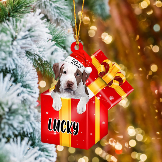 Customized Pit Bull In Red Gift Box Acrylic Christmas Ornament Personalized Pet Christmas Ornament - Gift For Dog Lovers, Pet Lovers