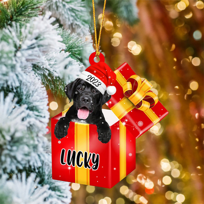 Customized Name Labrador Retriever In Red Gift Box Acrylic Christmas Ornament Personalized Pet Christmas Ornament - Gift For Dog Lovers, Pet Lovers
