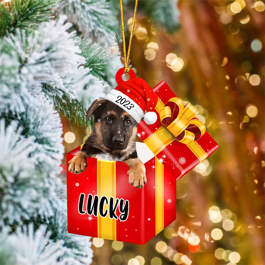 Customized Name Labrador Retriever In Red Gift Box Acrylic Christmas Ornament Personalized Pet Christmas Ornament - Gift For Dog Lovers, Pet Lovers