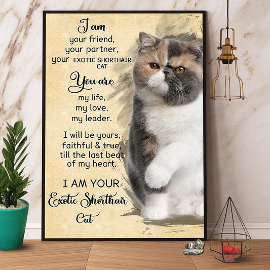 Exotic Shorthair Cat Portrait Canvas - I Am Your Friend, Your Partner Portrait Canvas - Gift For Cat Lovers, Friends, Family, Exotic Shorthair Lovers - Amzanimalsgift